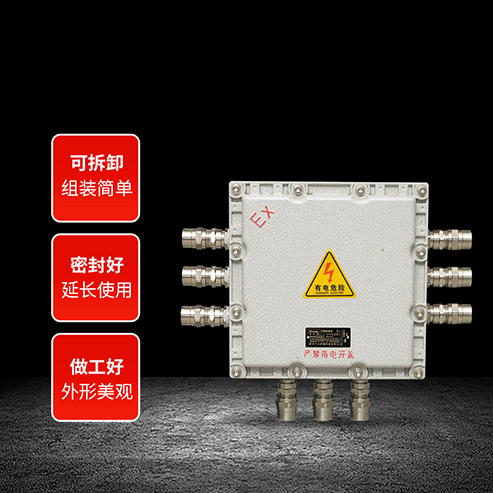 防爆接線(xiàn)箱系列
